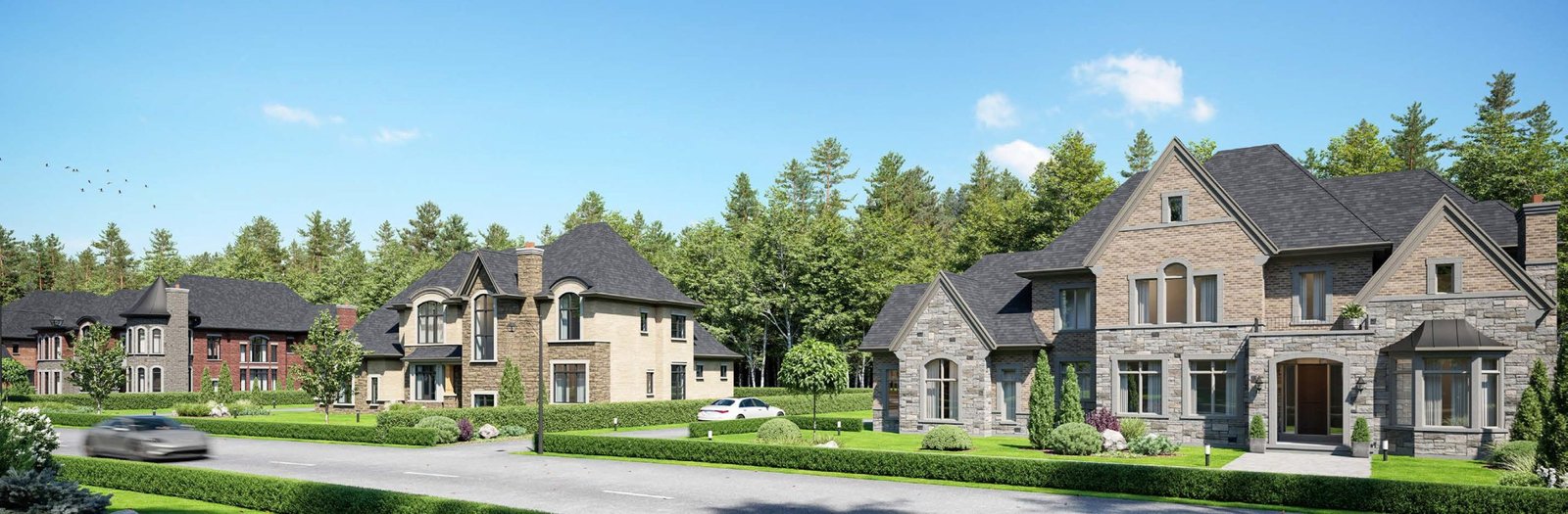 Lively Estates - View